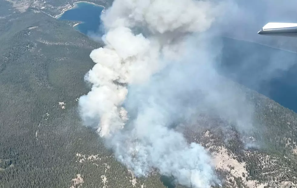 They Saved an Idaho Forest and Now We Have a Debt to Pay