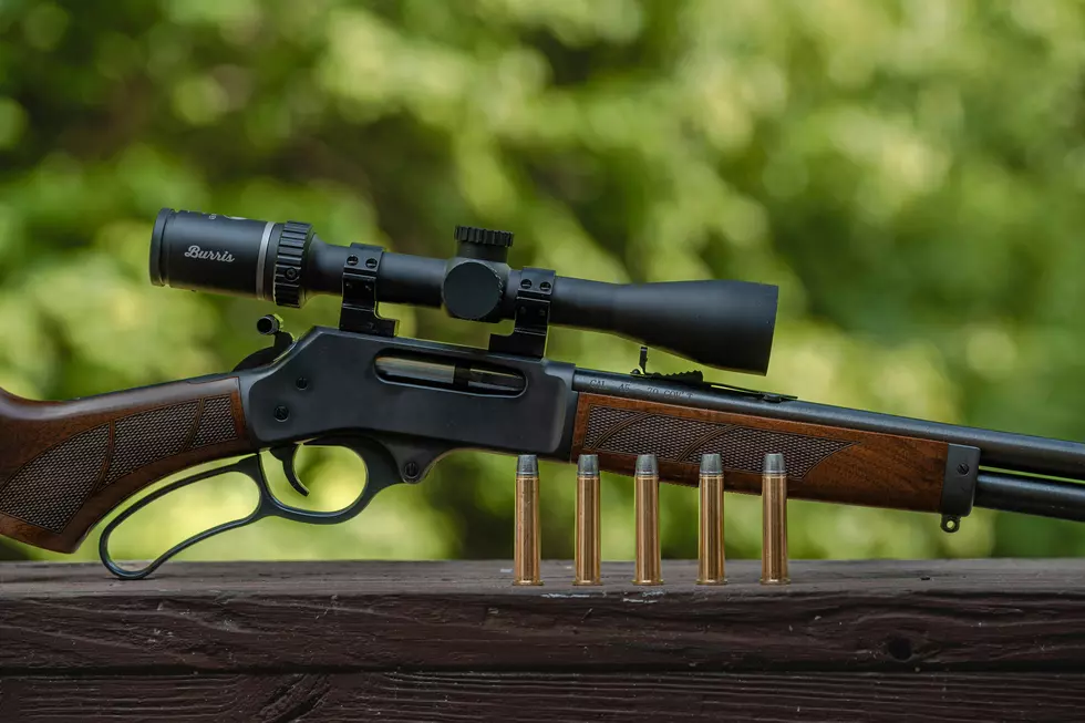 Idaho is Armed to the Teeth and Ready to Protect Your Rights