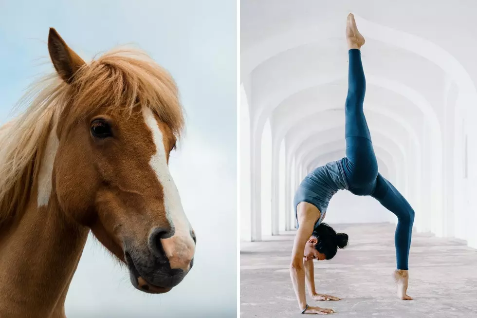 Awesome Horse Yoga Experience North of Twin Falls